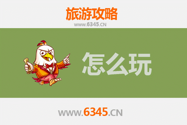 延安延长节假日深度游：红色圣地与黄河奇观的完美邂逅